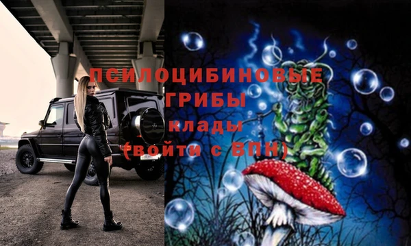 гидра Нея