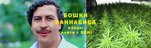 гидра Нея
